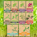 10 Variety Pack Microgreens Seeds - Broccoli Sunflower Pea Salad Mix Daikon Radish Kale Amaranth Spicy Salad Red Cabbage &amp Arugula. Grow Your own Microgreens with These Organic Seeds.