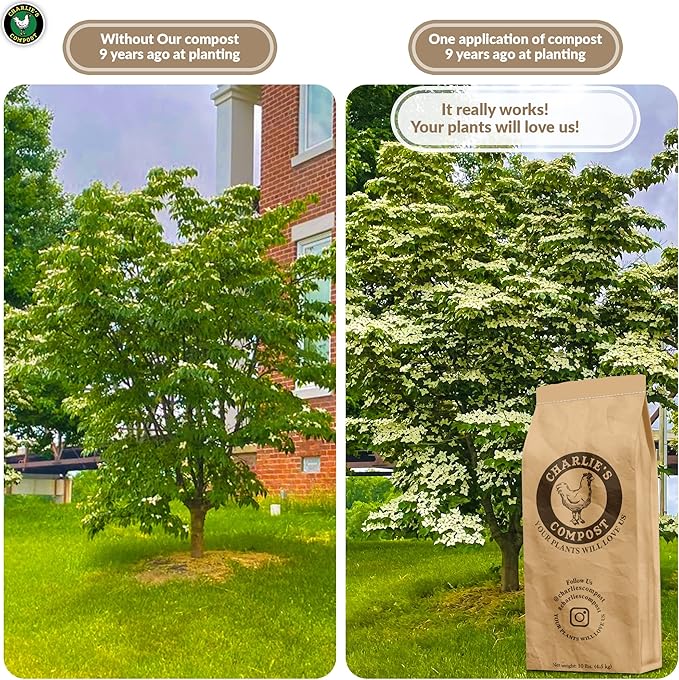 Charlie's Compost - Odor Free Organic Fertilizer for Home Gardens Raised Beds Containers Seed Starting Mix Natural Soil Amendment with Biochar 10lb