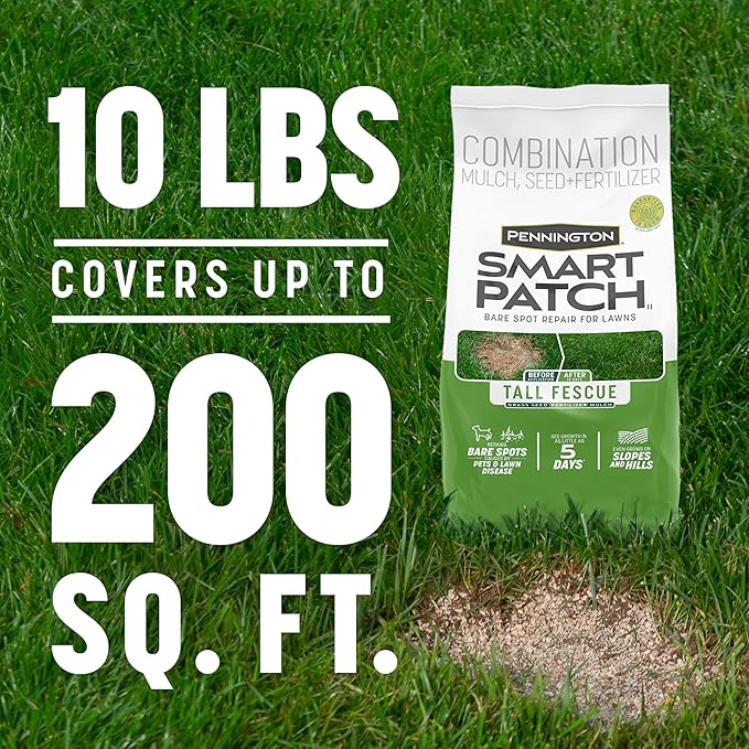 Pennington Smart Patch Tall Fescue 10lb 200 sq. ft. Grass Seed Bare Spot Repair with Mulch and Fertilizer
