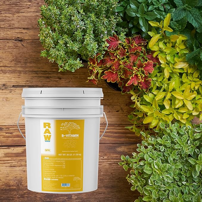 RAW B Vitamin 25lb - Essential Plant Growth Booster with B Complex and Magneseum Sulfate - Promotes Healthy Development Increased Yield and Enhanced Nutrient Absorption