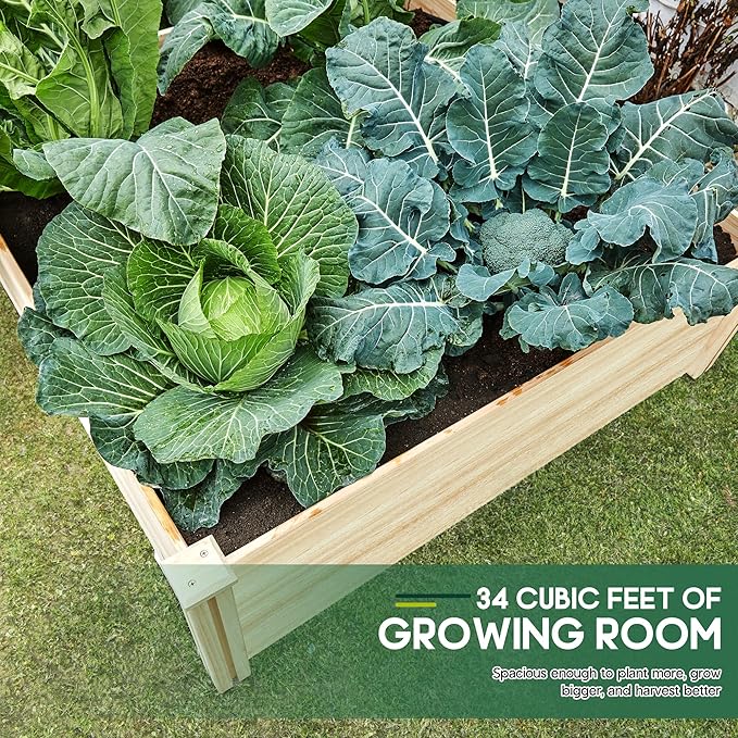 SPECRAFT 15 Inch Depth 8x4 FT Deep Wooden Raised Garden with Open Base Extra Large Planter Box for Deep-Rooted Plants Ideal for Outdoors Patio Backyard