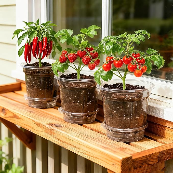 12 Pack 6.5 Inch Clear Self Watering Plant Pots with Bottom Water Tray &amp Watering Rope Transparent Nursery Pots with Drainage for Seedlings Herbs and Houseplants