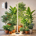 Plant Grow Lights Indoor – 64.5'' Tall Full Spectrum Plant Growing Lamps with 660nm 3000K &amp 6000K LEDs 36W Grow Lights for Indoor Plants with Dual Auto Timer (4H/8H/12H) &amp Remote Control