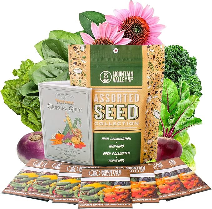 Fall Garden Heirloom Vegetable Seed - ~3800+ Seeds 7 Varieties of Seeds to Sow in Fall Months – Turnip Beet Chard Echinacea Spinach Brussel Sprouts and Kale Heirloom Seed for Planting