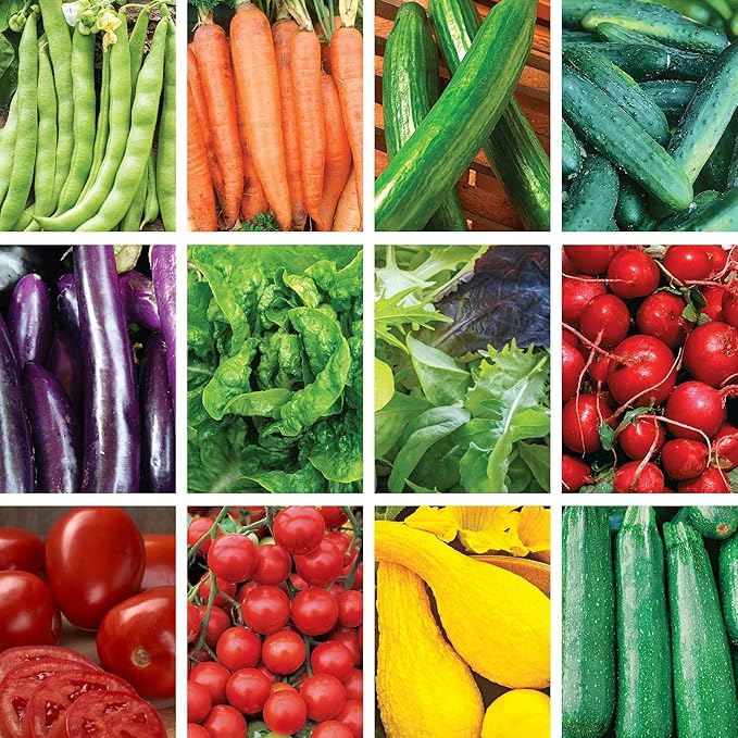 Ferry-Morse Vegetable Seed Bundle - Organic High Germination Rate GMO Free - 12 Pack
