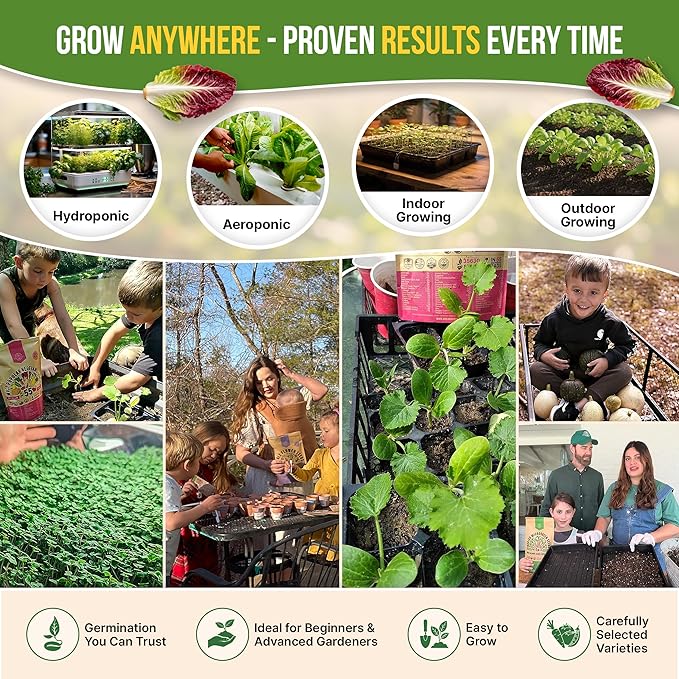 Organo Republic 22 Lettuce &amp Salad Greens Seeds Variety Pack 24700+ Non-GMO Heirloom Lettuce Seeds for Indoor &amp Outdoor Garden Hydroponic &amp Aeroponic - 2026 Season - Arugula Spinach Sw
