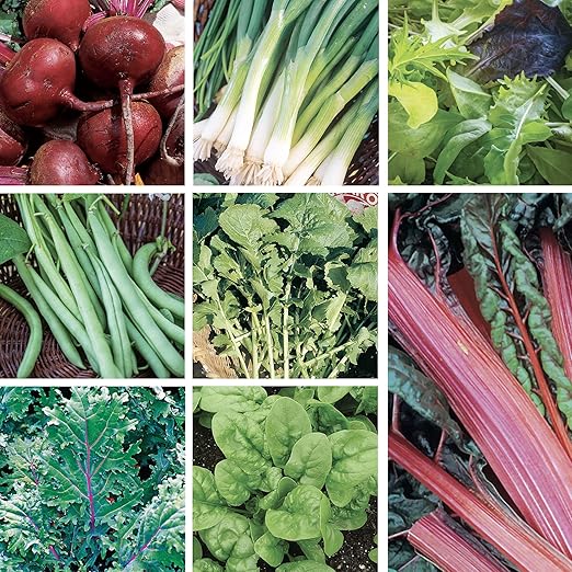 SUPERthrive and Ferry-Morse Grow Your Own Fall Harvest Kit