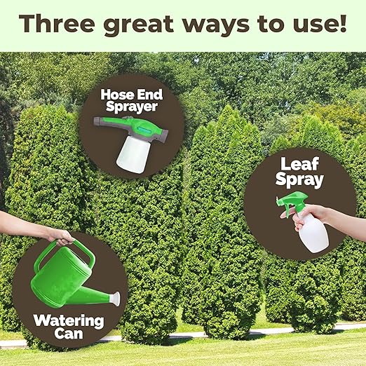 Thuja Green Giant Fertilizer – Liquid Plant Food for Faster Growth Fuller Green Foliage &amp Stronger Roots 32 oz
