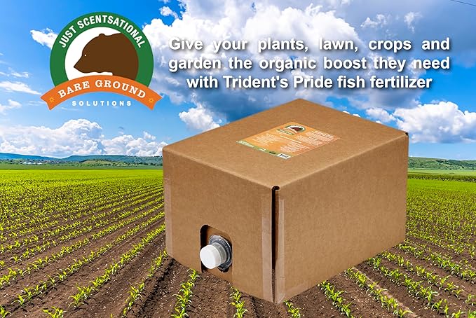 Just Scentsational Bare Ground Solutions TP-5G Trident's Pride Organic Liquid Fish Hydroponic Soil Fertilizer 640 oz (5 Gallons)