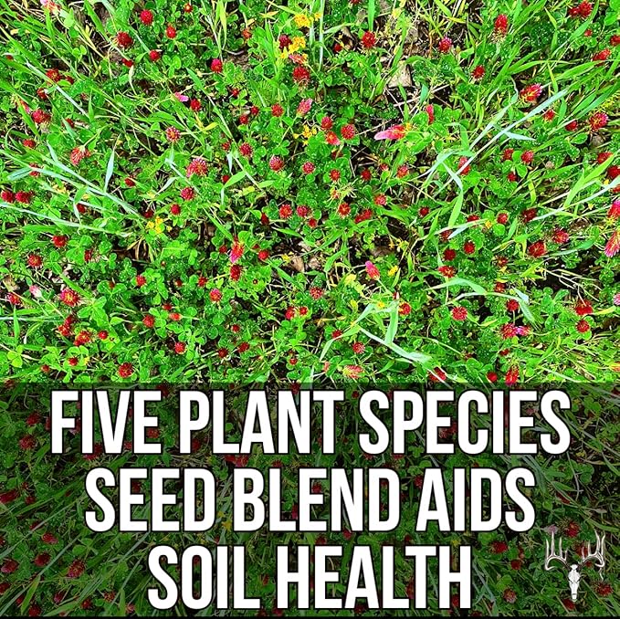 Crooked Bend Branson's Buffalo Blend 12LB EcoPack Whitetail Food Plot Seed for Deer Turkey Pheasant Dove Elk &amp Duck Plant Seeds Grow Forage to Feed &amp Attract Wildlife to Hunting Plots