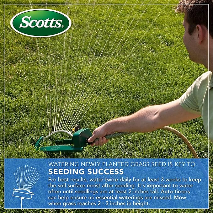 Scotts Turf Builder Thick'R Lawn Tall Fescue Mix Combination Seed Fertilizer and Soil Improver Thickens Thin Grass 12 lbs. (2-Pack)