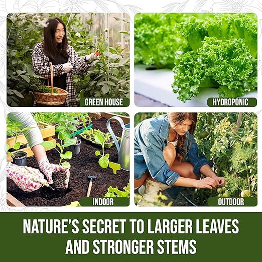 PlantVantage Premium Growth Liquid Plant Food - Liquid Fertilizer for Stronger Stems &amp Larger Leaves NPK Fertilizer (8-16-8) with Zinc &amp Iron Foliar Spray for Trees Shrubs &amp Flower Boos