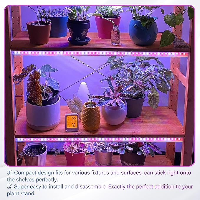 iPower 60W LED Plant Grow Light Strips Full Spectrum for Indoor Plants with Auto ON/Off 3/9/12H Timer 10 Dimmable Levels 48 LEDs Per Tude for Hydroponics Succulent 4 Tubes Red&ampBlue