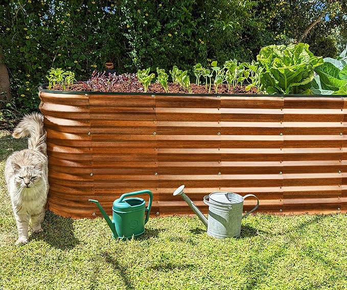 Plant &amp Plot Galvanized Raised Garden Beds Outdoor // 6×2×2 ft Planter Raised Beds for Gardening Vegetables Flowers (Dark Wood Grain) // Large Metal Garden Box // Patented Tool-Free Design