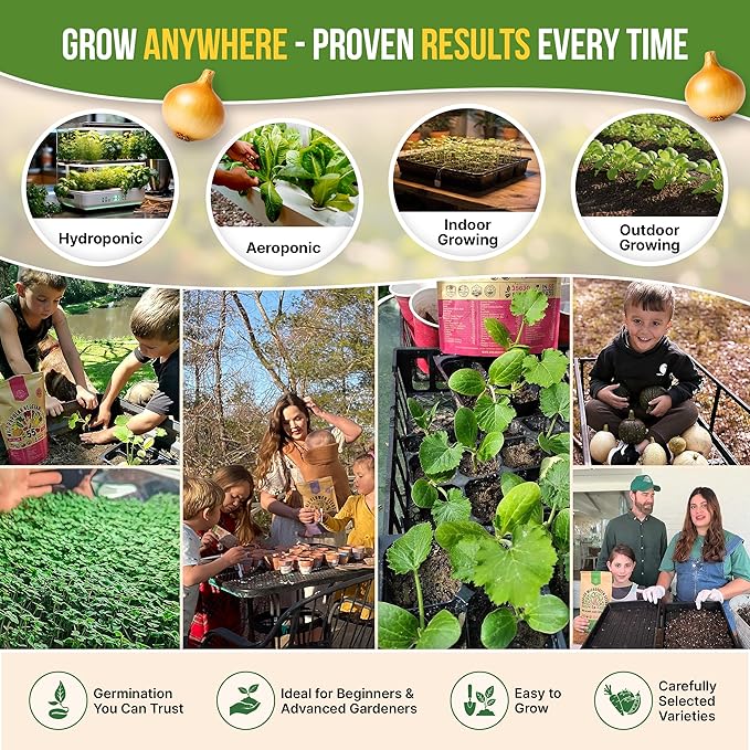 50 Winter Vegetable Garden Seeds Variety Pack - 43450+ Non-GMO Heirloom Seeds for Outdoors &amp Indoor Home Gardening Including Kohlrabi Lettuce Radish Onion Choy Spinach Cauliflower Collard