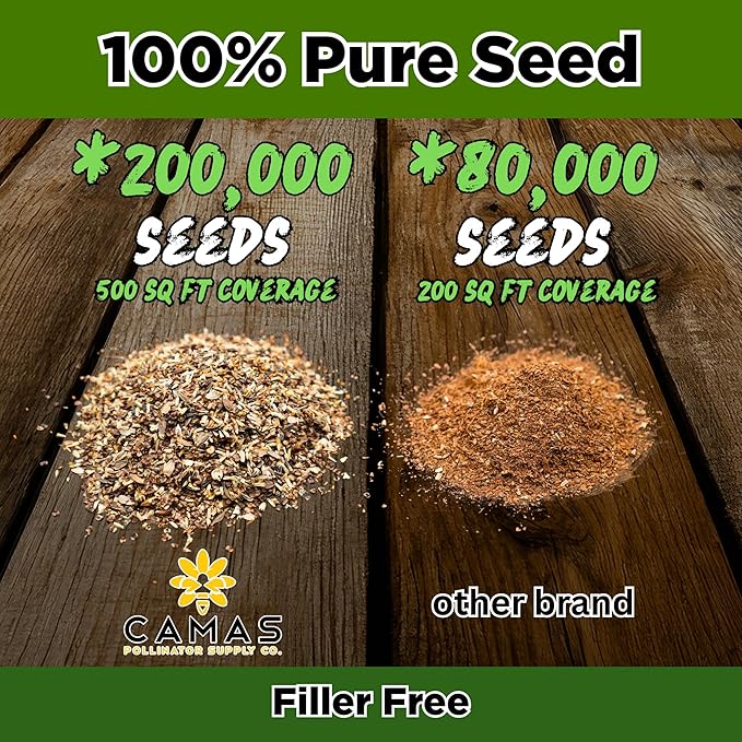 Camas Wildflower Seeds Bulk 1/4 lb – Perennial &amp Annual Wildflower Seed Mix for Planting Outside Pure Seed No Fillers Wild Flower Seeds Throw and Grow for Bees &amp Pollinators