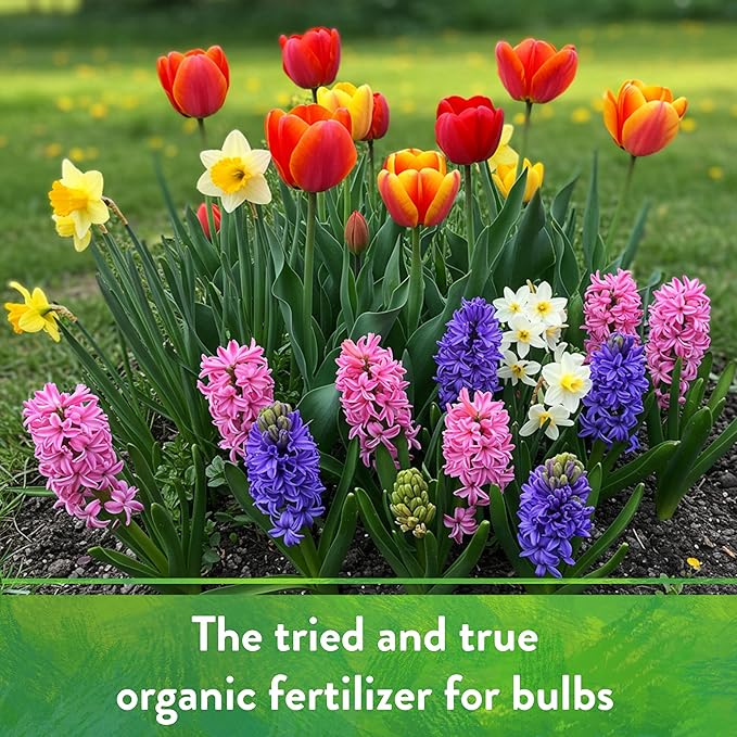 Down To Earth All Natural Fertilizers Organic Bone Meal - High Phosphorus Plant Food for Buds Bulbs Blooms Flowers 3-15-0 5 lb