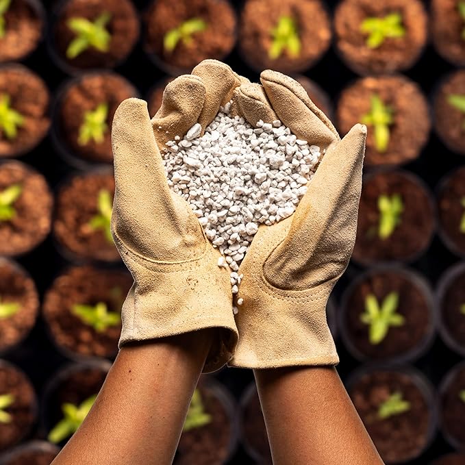 Perlite Bliss (24 Qts) - Organic Perlite for Plants Indoor Soil Amendment - Bulk Perlite for Gardening &amp Seed Starting - Mixes Easily with Potting Soil Vermiculite &amp Organic Coco Coir for Pl