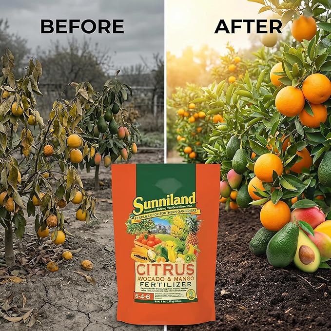 Avocado and Mango 6-4-6 Plant Fertilizer – 20 lb Bag – Granular Plant Food for Avocado Mango &amp Citrus Trees – Supports Steady Growth &amp Seasonal Feeding – Balanced 6-4-6 Garden Formula