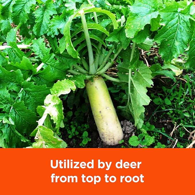 Pennington 100504528 Rackmaster Trophy Radishes Food Plot Seed Mix 5 lb None