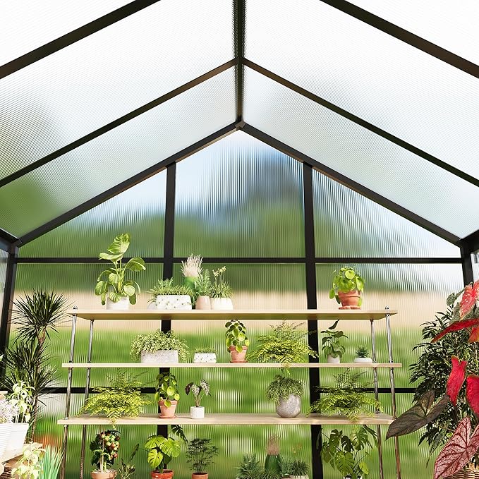 6X6 FT Greenhouse for Outdoors Large Walk-in Polycarbonate Greenhouse Kit Aluminum Frame Lockable Door Roof Vent Ground Spikes for Garden Patio Backyard Outdoor Plant Growth
