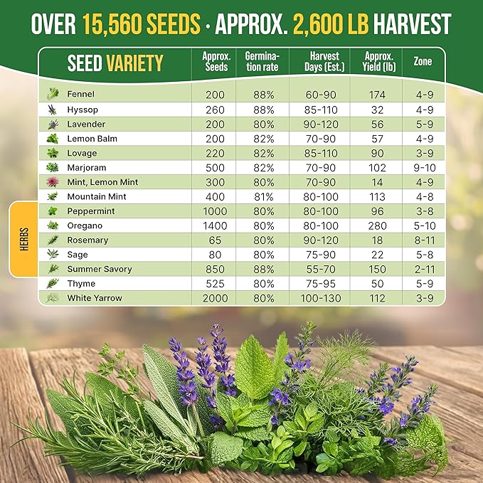Organo Republic 30 Medicinal &amp Tea Herb Seeds Variety Pack 15560+ Non-GMO Heirloom Garden Seeds for Indoor &amp Outdoors Including Anise Bergamot Borage Cilantro Chamomile Dandelion Seeds