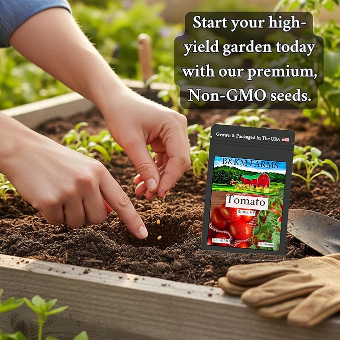 Beginner Survival Seed Vault: 20000+ Heirloom &amp Non-GMO Seeds (30 Easy to Grow Varieties) by B&ampKM Farms