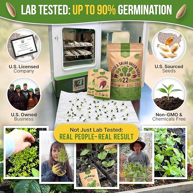 Organo Republic 22 Lettuce &amp Salad Greens Seeds Variety Pack 24700+ Non-GMO Heirloom Lettuce Seeds for Indoor &amp Outdoor Garden Hydroponic &amp Aeroponic - 2026 Season - Arugula Spinach Sw