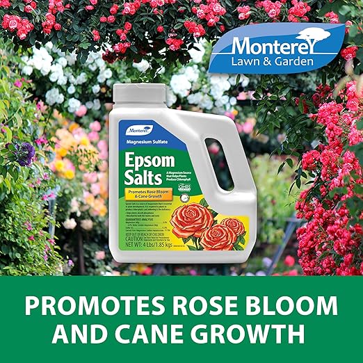 Monterey Epsom Salts Magnesium Sulfate Bundled with Measuring Spoon – 4lbs – Promotes Rose Bloom &amp Cane Growth Enhances Chlorophyll Production Boosts Phosphorus Absorption