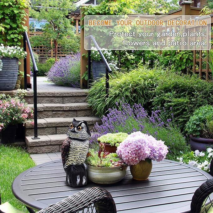 Hedoc Fake Owl Decoys to Scare Birds Away Rotating Head Sculptures Nature Enemy Scarecrow Plastic Statues Pest Repellent Bird Control and Pigeon Deterrent Outdoor Yard Garden Protectors