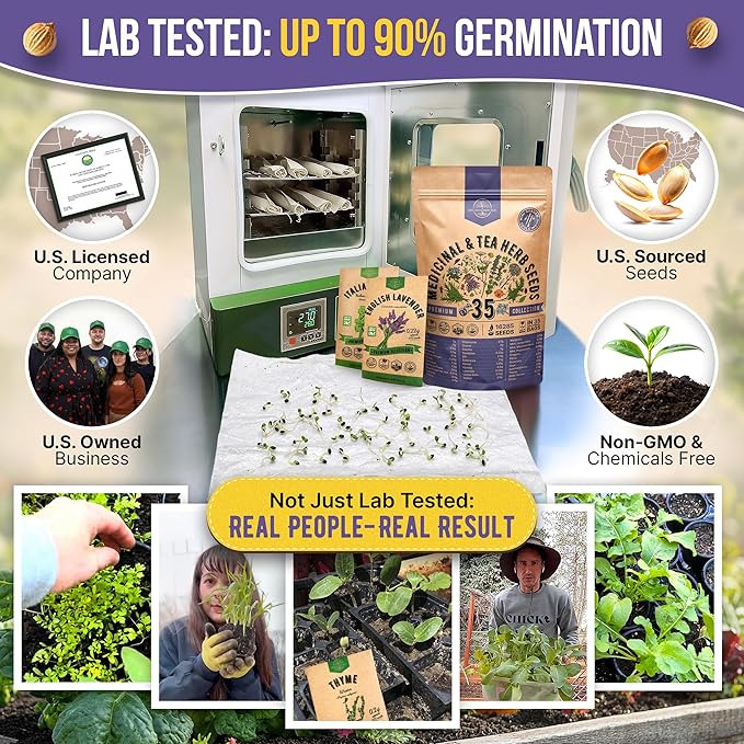 35 Medicinal &amp Tea Herb Seeds Variety Pack for Indoor &amp Outdoors. 16335+ Non-GMO Heirloom Garden Seeds: Anise Bergamot Borage Cilantro Chamomile Dandelion Rosemary Seeds &amp More