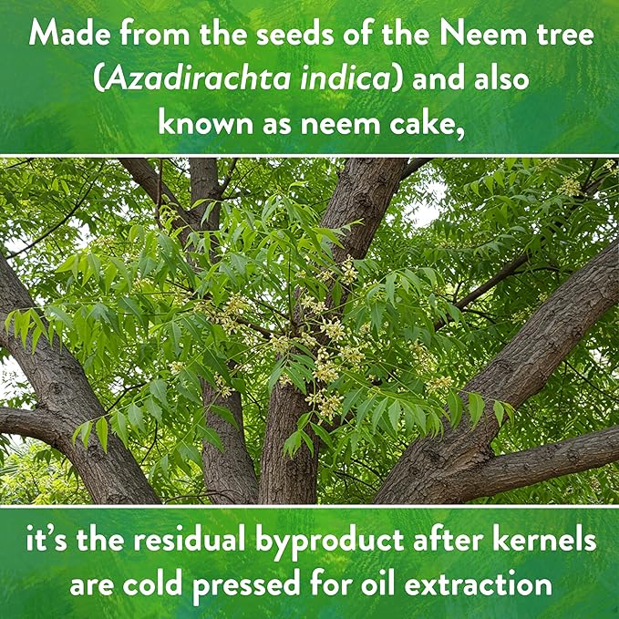 Down To Earth All Natural Fertilizers Organic Neem Seed Meal Plant Food for Vegetable Gardens and Raised Beds 6-1-2 5 lb