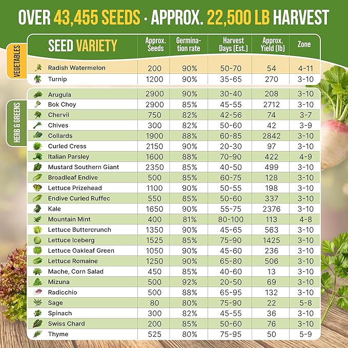 50 Winter Vegetable Garden Seeds Variety Pack - 43450+ Non-GMO Heirloom Seeds for Outdoors &amp Indoor Home Gardening Including Kohlrabi Lettuce Radish Onion Choy Spinach Cauliflower Collard