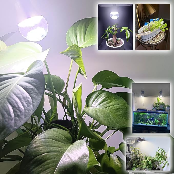 Grow Light Bulbs E12 Candelabra Small Screw Base for Indoor Plants Full SpectrumGrow LED Light Bulb 10W with Balanced Spectrum 5000K Blue Red for Seeds Greens LaboratorySchoolGreenhouse Garden6Pcs