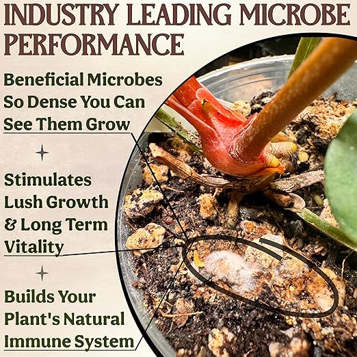 The All-in-One Complete Organic Plant Food Indoor Plant Food for Houseplants Organic Fertilizer for Vegetable Gardens 3lb =75 Formulated Servings Feeds 150 gal Instantly and Slow Release