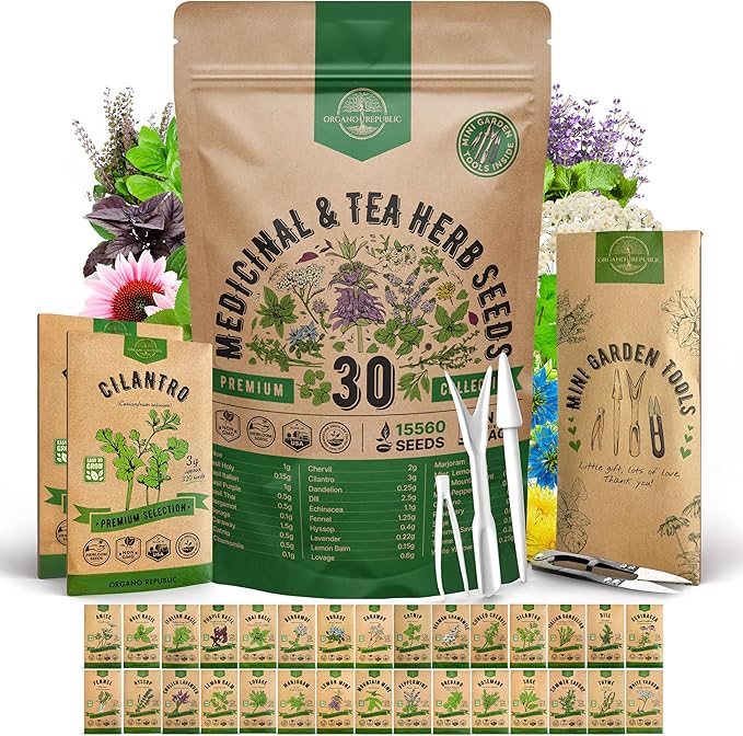 Organo Republic 30 Medicinal &amp Tea Herb Seeds Variety Pack 15560+ Non-GMO Heirloom Garden Seeds for Indoor &amp Outdoors Including Anise Bergamot Borage Cilantro Chamomile Dandelion Seeds