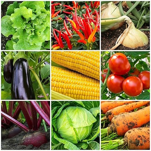 The Old Farmer's Almanac Organic Tomato &amp Vegetable Plant Food Fertilizer (4.5 Lbs - Covers 500 Square Feet) OFA-TV848
