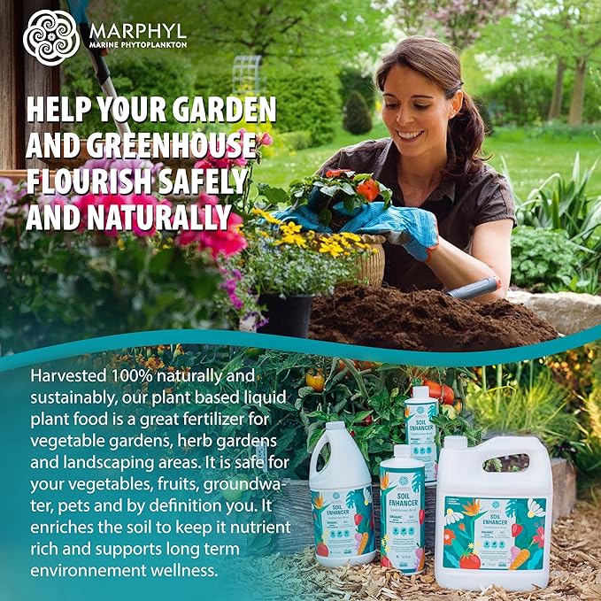 MARPHYL All-Purpose Plant Food – Organic Nutrient-Rich Fertilizer &amp Soil Enhancer for Indoor &amp Outdoor Flowers Vegetables Succulents Bamboo &amp Hydroponics