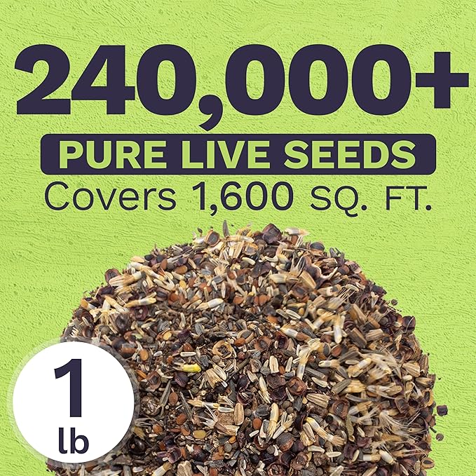 Deer Resistant Wildflower Seed Mixture - Bulk 1 Pound Bag - Over 240000 Deer Tolerant Seeds - Open Pollinated and Non GMO