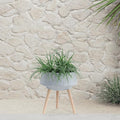 S2 1115 TERRAZZO Planter W Wood Legs Gray