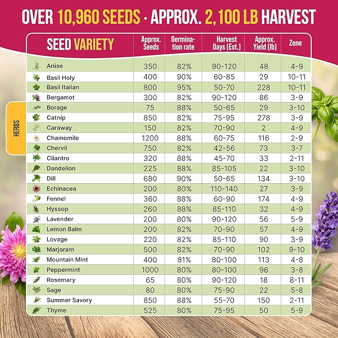 Organo Republic 25 Medicinal &amp Tea Herb Seeds Variety Pack for Indoor &amp Outdoors. 10900+ Non-GMO Heirloom Garden Seeds: Anise Borage Cilantro Chamomile Dandelion Rosemary Peppermint Seed