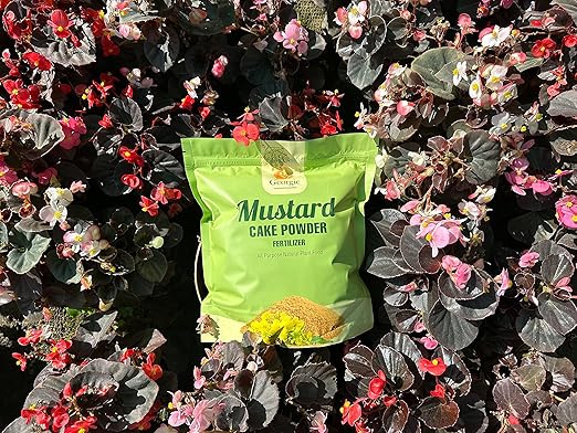 Natural Mustard Oil Cake Powder As Fertilizer for All-Purpose Fertilizer Concentrate for Flower Vegetable Herb Fruit Tree (Pack of 2-6 LB)