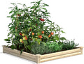 Greenes Fence Spruce Raised Garden Bed 4' x 4' x 5.5 (2-Pack) - Made in USA with North American Spruce
