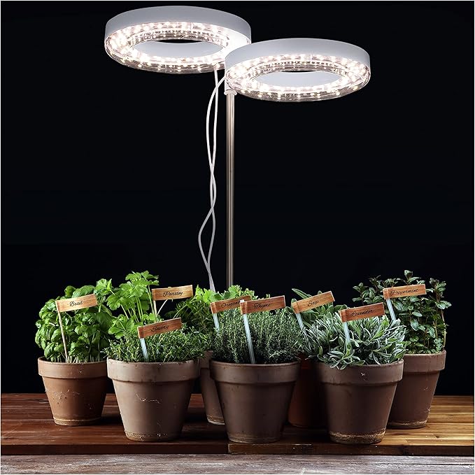 HALO Plant Light - 2 Adjustable LED Rings Warm White Spectrum - LED Grow Lights for Indoor Plants Seed Starting Seedlings Succulents Herbs &amp Vegetables - Plant Lights for Indoor Growing