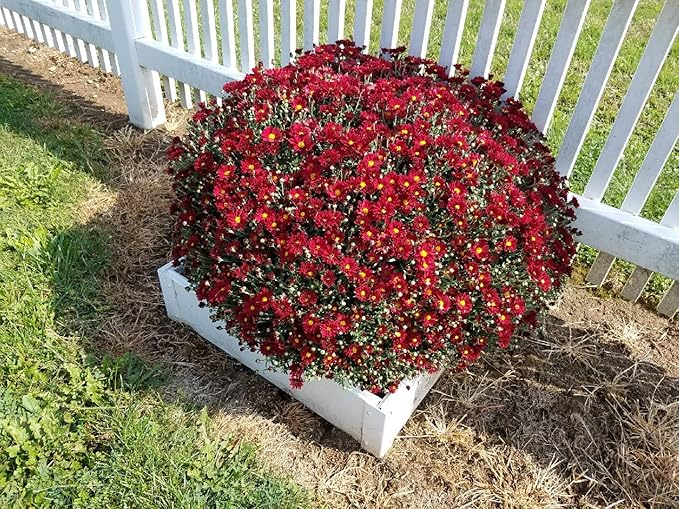 2 x 2 Stack-able White Vinyl Raised Garden Bed