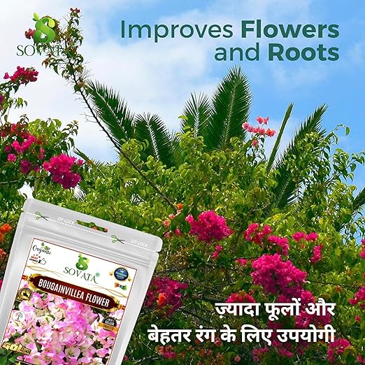 Sovata® Bougainvillea Flower Food Powerful Organic Fertilizer for Heavy Flowering and Fast Growth of Bougainvillea Plants. (900 gm)