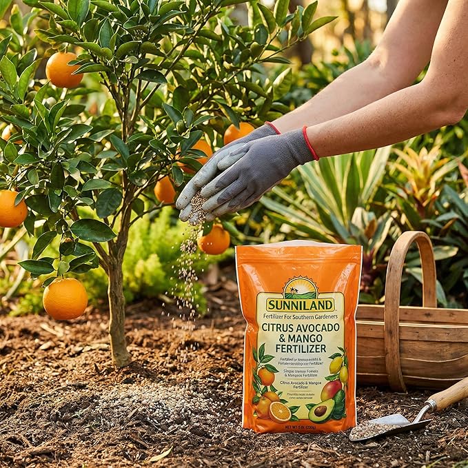 Avocado and Mango 6-4-6 Plant Fertilizer – 20 lb Bag – Granular Plant Food for Avocado Mango &amp Citrus Trees – Supports Steady Growth &amp Seasonal Feeding – Balanced 6-4-6 Garden Formula