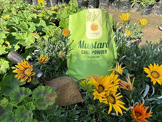 Natural Mustard Oil Cake Powder As Fertilizer for All-Purpose Fertilizer Concentrate for Flower Vegetable Herb Fruit Tree (Pack of 2-6 LB)