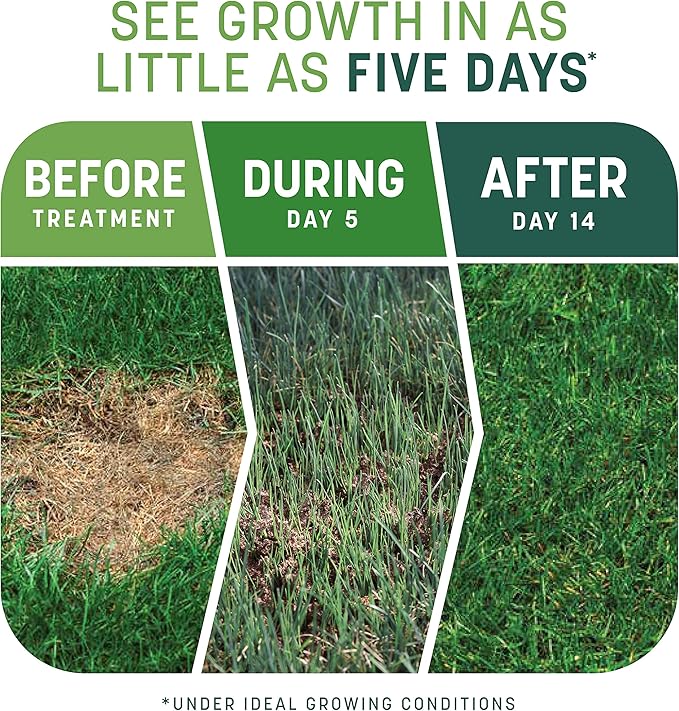 Pennington Smart Patch Tall Fescue 5lb 100 sq. ft. Grass Seed Bare Spot Repair with Mulch and Fertilizer