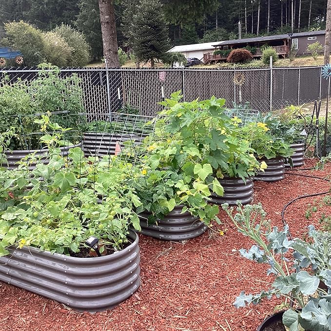 A ANLEOLIFE 4 Pcs 6X2X1.5 ft Oval Round Galvanized Raised Garden Beds Outdoor for Planting Vegetables Flowers Herb Quartz Grey
